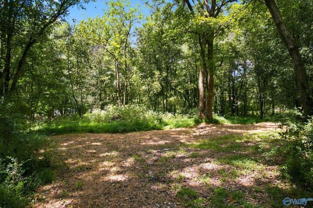 195 County Road 1623, Cullman, AL 35058