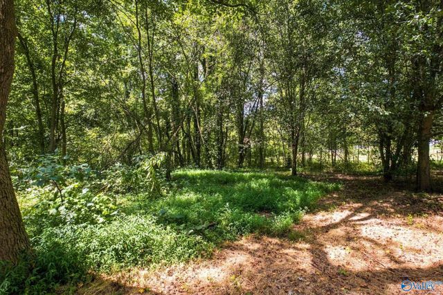 195 County Road 1623, Cullman, AL 35058