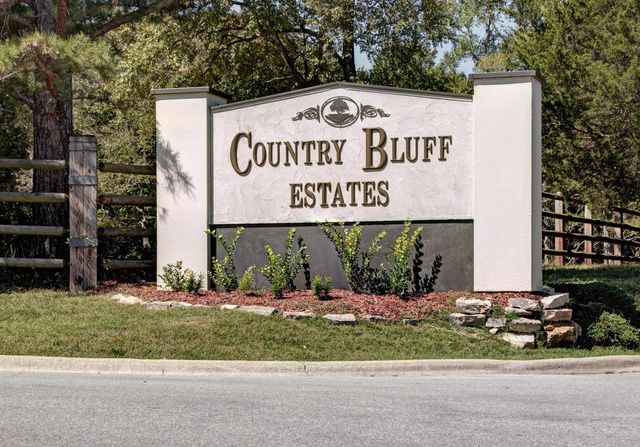 117 Country Bluff Drive, Branson, MO 65616