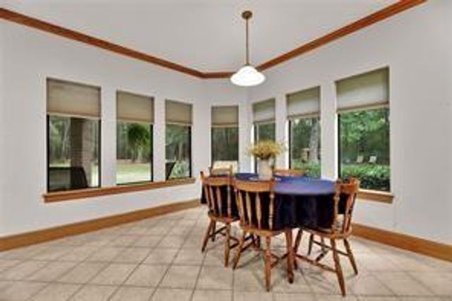 20280 Old Sorters Road, Porter, TX 77365