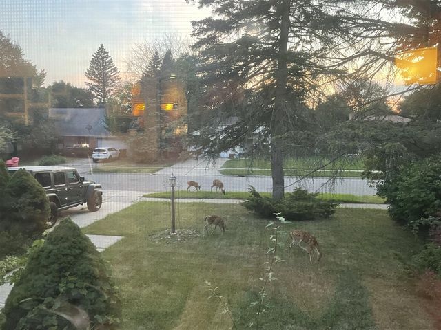 1706 Autumn Lane, Lansing, MI 48912