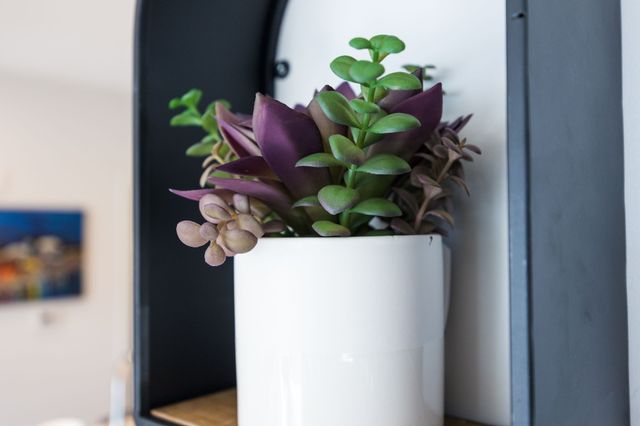 303 31st Ave N Apt 403, Nashville, TN 37203