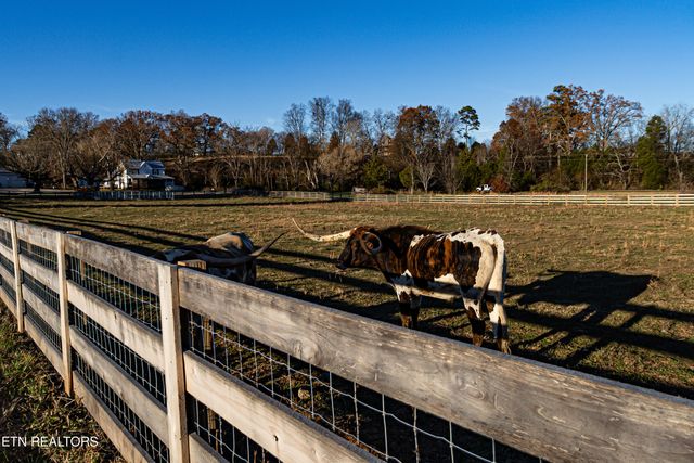 6190 Morganton Rd, Greenback, TN 37742