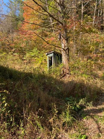 111 Peggs Fork Road, Jackson, KY 41339