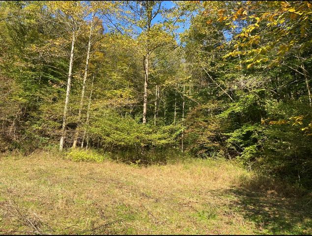 111 Peggs Fork Road, Jackson, KY 41339