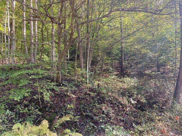 111 Peggs Fork Road, Jackson, KY 41339