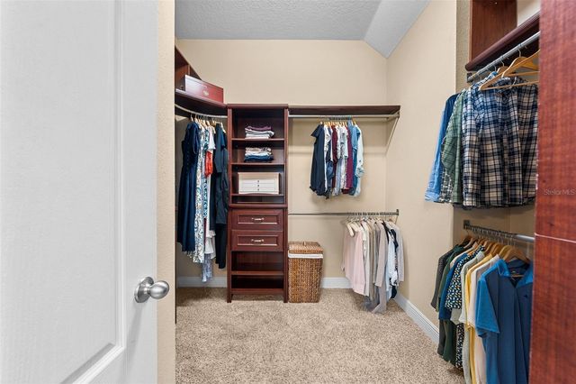 8115 CHAMPIONS FOREST WAY, Tampa, FL 33635