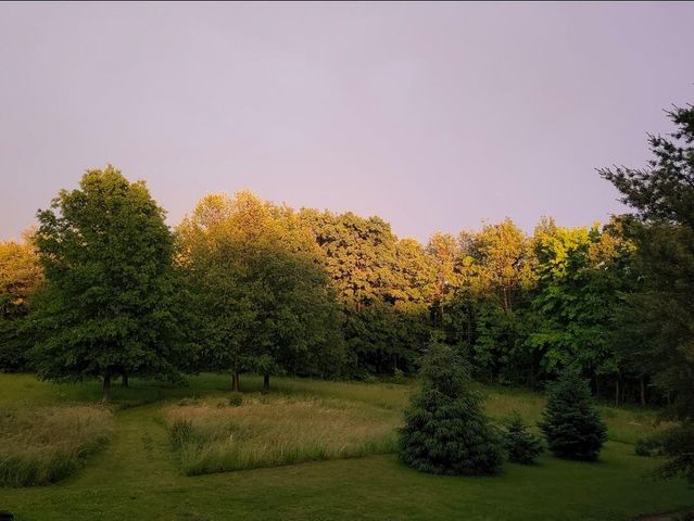 15143 H Drive S, Marshall, MI 49068