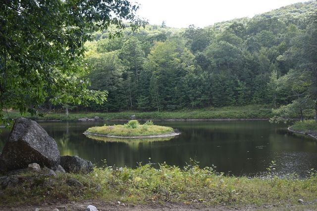 345 Deer Valley Road, Bradford, NH 03221