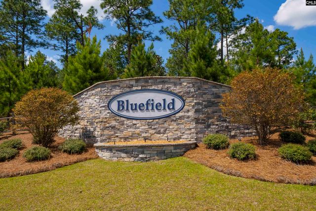 3114 Cauthon Court, Lexington, SC 29073