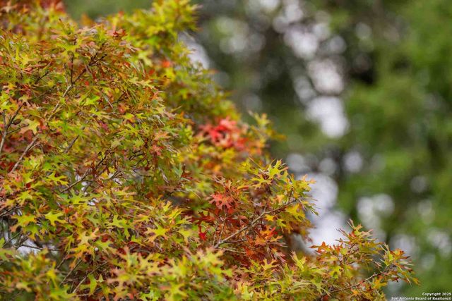 7625 N State Highway 16, Fredericksburg, TX 78624