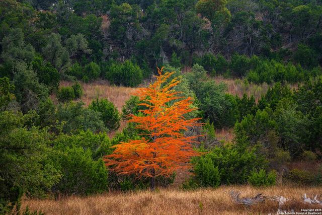 7625 N State Highway 16, Fredericksburg, TX 78624