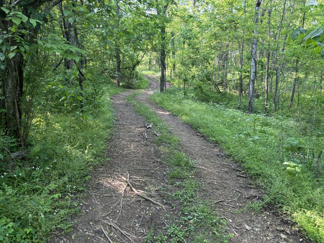 1 Lick Creek Rd, Hartsville, TN 37074