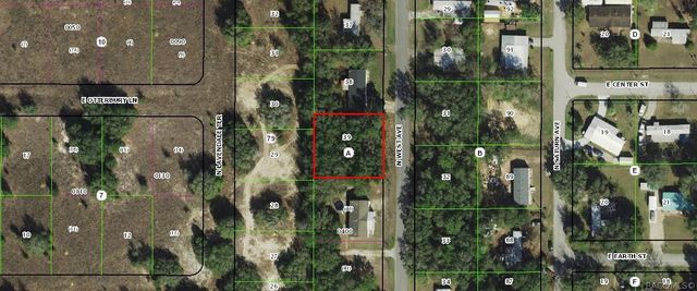 94 N West Avenue, Inverness, FL 34453