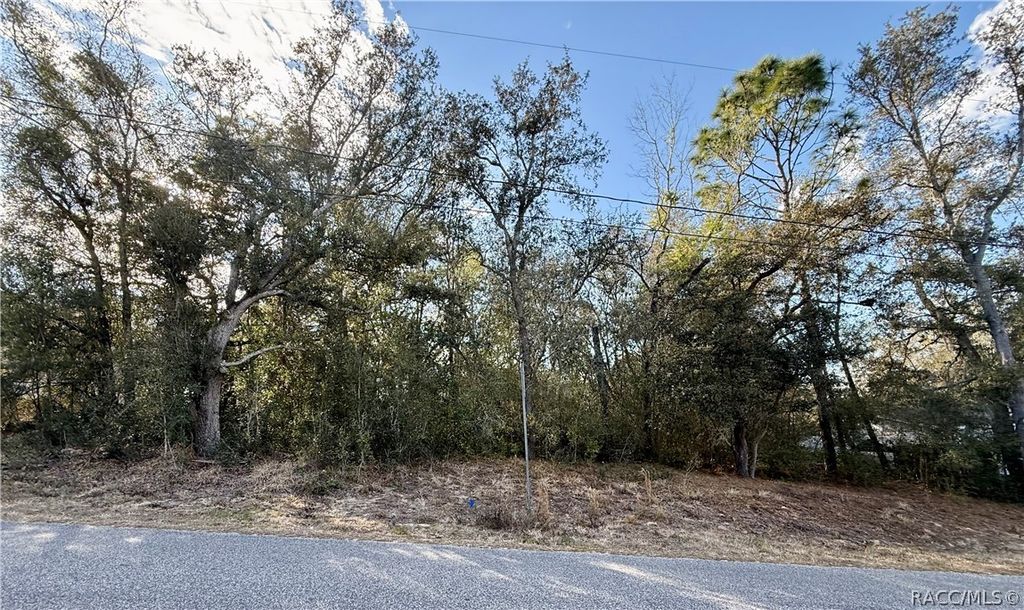 94 N West Avenue, Inverness, FL 34453