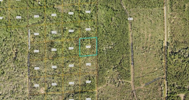 LAKE HARNEY ROAD, Osteen, FL 32764