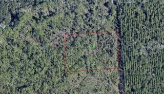 LAKE HARNEY ROAD, Osteen, FL 32764