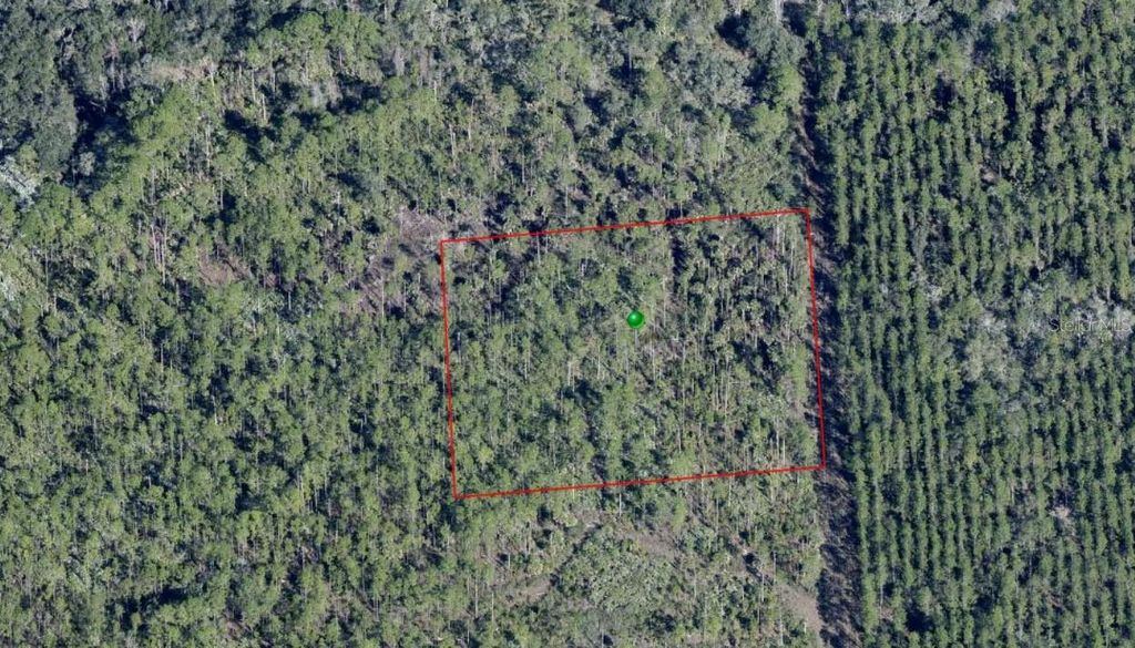 LAKE HARNEY ROAD, Osteen, FL 32764