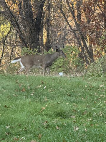 4304 Tamara Drive, Eau Claire, WI 54701