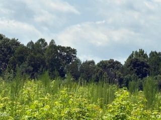 Lot 2 Sams Road, Mebane, NC 27302
