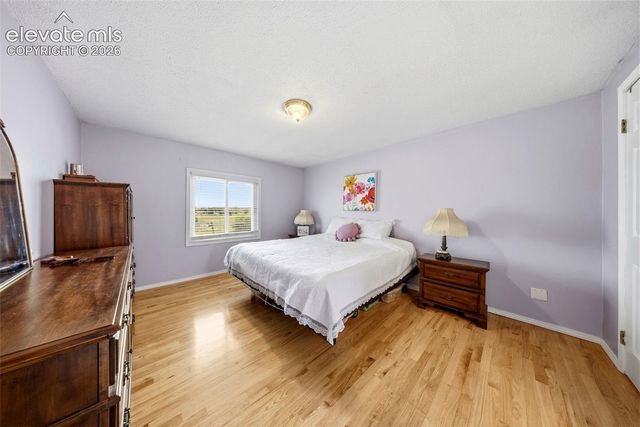 13075 S Blaney Road, Peyton, CO 80831