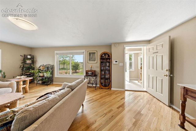 13075 S Blaney Road, Peyton, CO 80831