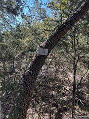 936 Luehlfing, Canyon Lake, TX 78133