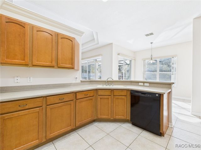 5246 W Piute Drive, Beverly Hills, FL 34465