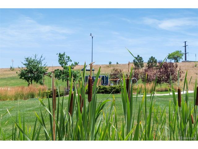 9352 Yucca Way, Arvada, CO 80007
