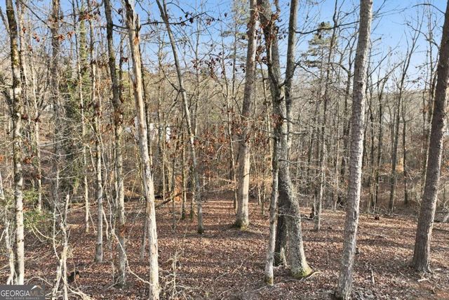 7703 Elm Circle, Murrayville, GA 30564