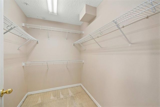 9434 SILVER BUTTONWOOD STREET, Orlando, FL 32832