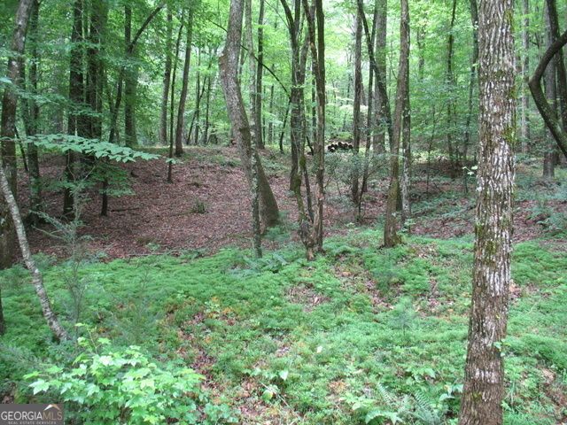 6X Laurelwood, Sautee Nacoochee, GA 30571