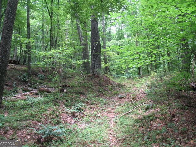 6X Laurelwood, Sautee Nacoochee, GA 30571