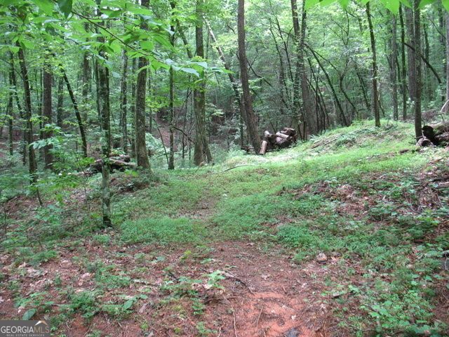 6X Laurelwood, Sautee Nacoochee, GA 30571