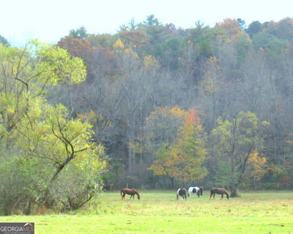 6X Laurelwood, Sautee Nacoochee, GA 30571