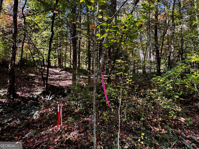 6X Laurelwood, Sautee Nacoochee, GA 30571