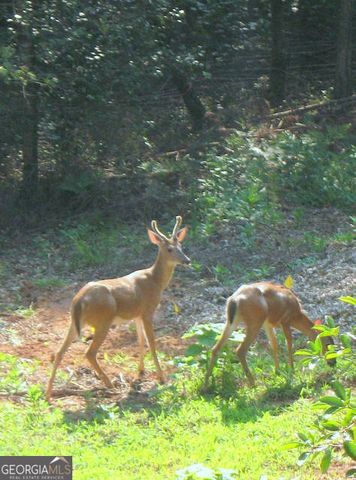 6X Laurelwood, Sautee Nacoochee, GA 30571