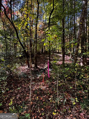 6X Laurelwood, Sautee Nacoochee, GA 30571