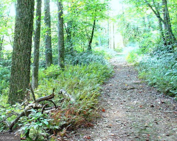 6X Laurelwood, Sautee Nacoochee, GA 30571