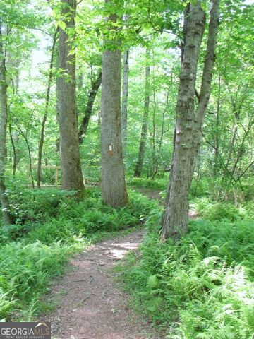 6X Laurelwood, Sautee Nacoochee, GA 30571