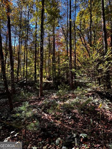 6X Laurelwood, Sautee Nacoochee, GA 30571