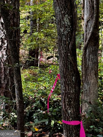 6X Laurelwood, Sautee Nacoochee, GA 30571