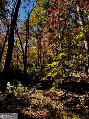 6X Laurelwood, Sautee Nacoochee, GA 30571