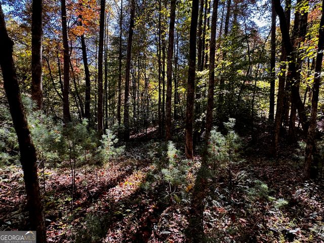 6X Laurelwood, Sautee Nacoochee, GA 30571