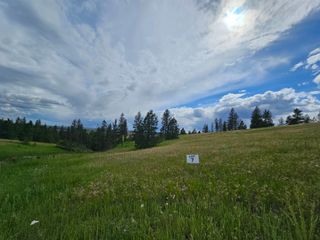 NNA S Sands Rd, Valleyford, WA 99036