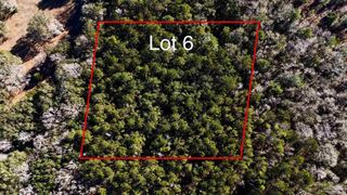 Lot 6 Tidwell Rd, Pace, FL 32571