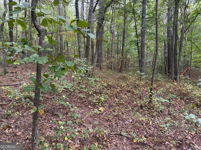 0 Salacoa-8 acres, Waleska, GA 30183