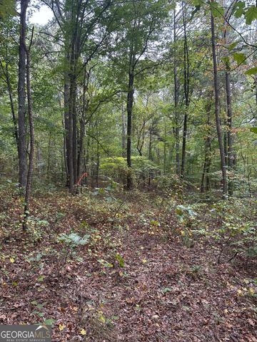 0 Salacoa-8 acres, Waleska, GA 30183
