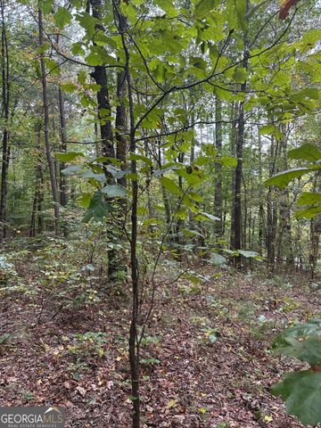 0 Salacoa-8 acres, Waleska, GA 30183