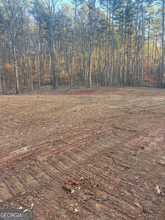 0 Salacoa-8 acres, Waleska, GA 30183